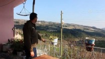 ABDULLAH YıLMAZ - Yayladağı'nda 31 Seçmenli Mahallede Muhtarlık Yarışı