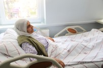 KAYAK KAZASI - 83 Yaşındaki Nazmiye Nine Şifayı Develi Hatice Muammer Kocatürk Devlet Hastanesi'nde Buldu