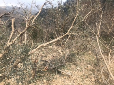 Bu Tarlalardan Ürün Değil Taş Çıkıyor