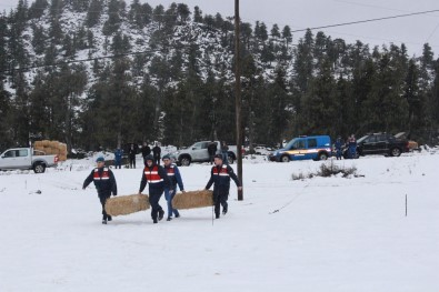 Jandarma'dan 'Yılkı Atı'na Doğa Operasyonu