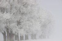 YAĞMURLU - Yurtta hava durumu