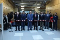 ABDULLAH YıLMAZ - 300 Farklı Kayaç, Mineral, Maden Ve Fosil Sergilendi