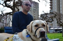 GÖRME ENGELLİ - Görme Engelli Gazinin Hayatını 'Bobby' Değiştirdi
