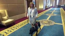 RİCHARD MOORE - Terapi Köpekleri Zihinsel Engelli Çocuklara 'Yoldaş' Olacak