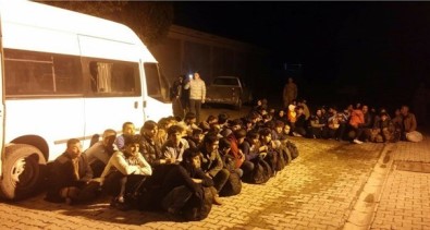 Van'da 44 Kaçak Göçmen Yakalandı