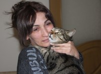 'Efe' Kedi Patisiyle Sahibini Yanmaktan Kurtardı