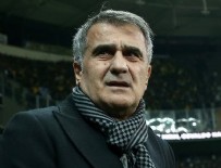 A MİLLİ FUTBOL TAKIMI - Milli Takım'da Şenol Güneş dönemi