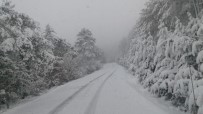Taraklı'da Kar Kalınlığı 15 Santimetreye Kadar Ulaştı Haberi