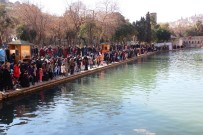 BALıKLıGÖL - Güneşli Havayı Fırsat Bilen Balıklıgöl'e Akın Etti