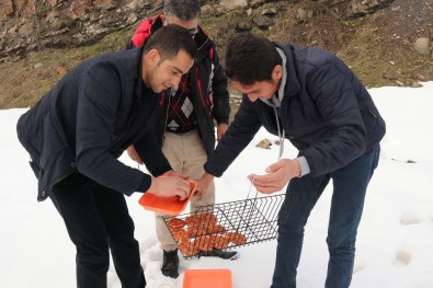 Karın Cefasını Sefaya Çevirdiler