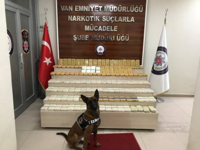 Narkotik Köpeği Zeyna İle Lisa 86 Kilo Eroin Yakalattı