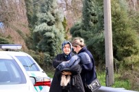 TEM'de 9 Aracın Karıştığı Zincirleme Kazada 8 Kişi Yaralandı