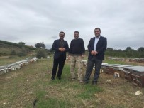 TANDOĞAN - Başkan Tandoğan'dan Vanlı Arıcılara Ziyaret