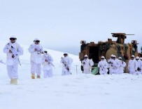 YPG/PKK'ya yılın ilk ayında ağır darbe