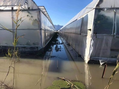 Kaş'ta Seralar Su Baskını Tehdidi Altında