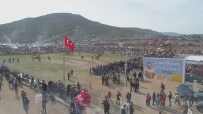 NİHAT ZEYBEKÇİ - Menderes'teki Deve Güreşlerine Binlerce Kişi Katıldı