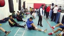 BOKS - Milli Boksörlerin Kastamonu Kampı Sürüyor