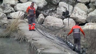 Üniversiteli Kader Buse'yi Arama Çalışmalarına Ara Verildi