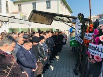 MUSTAFA GÜRDAL - AK Parti Genel Sekreteri Şahin'in Acı Günü