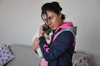 YAVRU KÖPEK - Donmak Üzere Olan Yavru Köpeğe Anne Şefkati