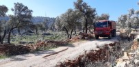 İTFAİYE ARACI - Kaş'ta Zeytinlik Alanda Yangın