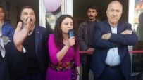 HDP - 