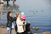 YAĞMURLU - Şubat Ayında Samsun 18 Dereceyi Gördü