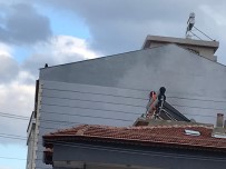 KURTARMA OPERASYONU - Çatıda Mahsur Kalan Yavru Kedi Kurtarıldı