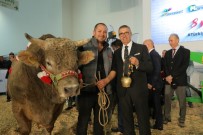 BİLGİ YARIŞMASI - En Büyük Tarım Fuarı AGROEXPO, İzmir'de Kapılarını Açıyor