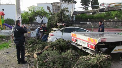 Fırtına Bodrum'u Bu Hale Getirdi