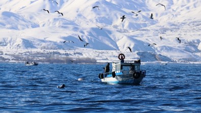 İnci Kefaline Dikkat Çekmek İçin Van Gölü'ne Açıldılar
