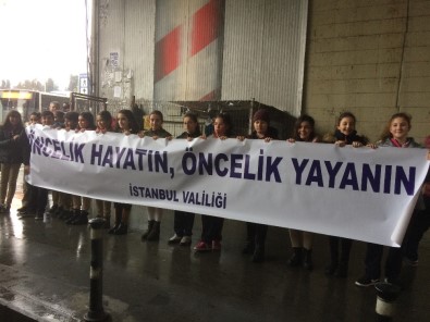 İstanbul'da 'Yaya Öncelikli Trafik'E Dikkat Çektiler