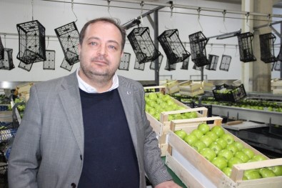 Karaman'da Elmanın Depo Çıkış Fiyatı 1,5 İla 2,5 Lira Arasında Değişiyor