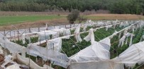 DEMRE - Kaş'ta Fırtınada 500 Dönüm Sera Zarar Gördü