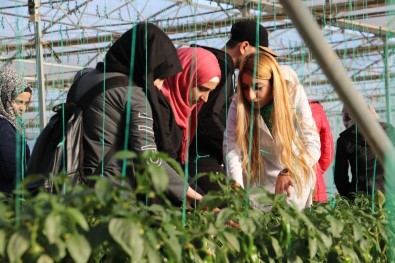 (Özel) Suriyeli Öğrenciler Şanlıurfa'da Ekonomiye Katkıda Bulunuyor