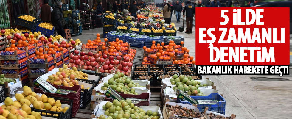 5 ilde eş zamanlı 'HAL' denetimi