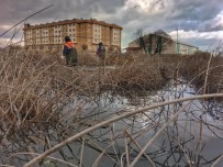 SONBAHAR - Beyşehir'de Haşereyle Larva Dönemi Mücadele Ediliyor