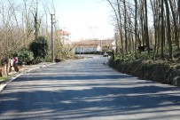 BEŞEVLER - Büyükşehir Ekibi Alandüzü Ve Beşevler'i Asfaltladı