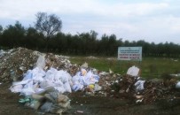 ÇEVRE KIRLILIĞI - Çevreyi Kirleten Hafriyat Ve Molozlar Temizlendi