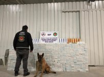 Çobanbey Sınır Kapısı'nda 30 Bin Paket Kaçak Sigara Ele Geçirildi