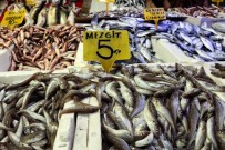 NORVEÇ - Karadeniz hamsisi Gürcistan'a kaçtı