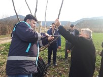 ÖZGÜR ARAS - Bilecik'te Çiftçi Eğitim Ve Yayım Çalışmaları