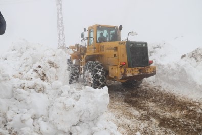 Hizan'da Kar Kalınlığı 5 Metreyi Buldu