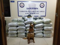 VİRANŞEHİR - Şanlıurfa'da 453 Kilo Esrar Ele Geçirildi
