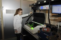 SELÇUK ÜNIVERSITESI - Selçuk Üniversitesi Yeni Bir Kanser Teşhis Yöntemi Geliştirdi