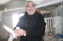 ELEKTRİK FATURASI - Ağrı'da Güvercinlerini Soğuktan Elektrikli Sobalarla Koruyorlar