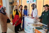 SAĞLIKLI HAYAT - Sigarayı Bırakma Gününde Farkındalık Oluşturdular