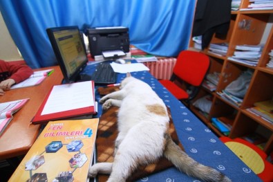 Sınıfın En 'Çiçek' Öğrencisi