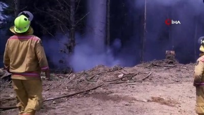 Yeni Zelanda'da Orman Yangınları Söndürülemiyor