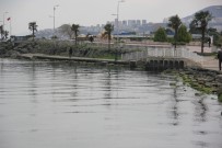 SAHİL YOLU - Denize atlayan adamı oltayla kurtardı